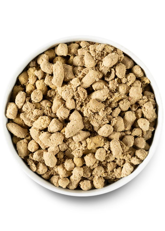 Delicious freeze-dried raw turkey dog food from Open Farm in a bowl, offering easy raw feeding and robust nutrition.