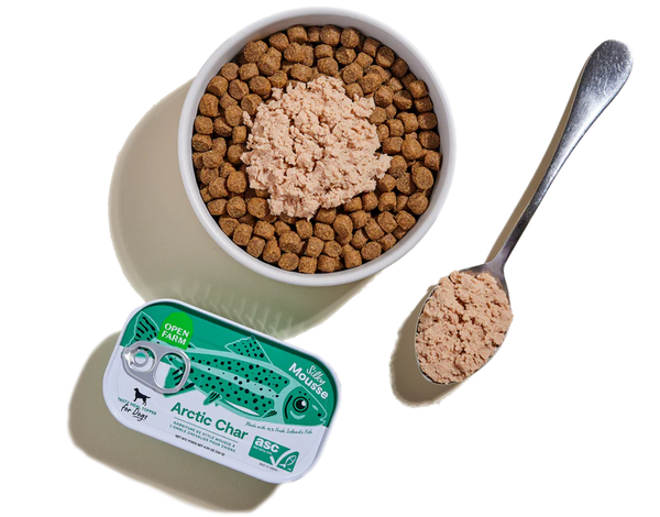 Open Farm Arctic Char Topper served with kibble in a dog bowl, showcasing a nutritious, high-quality meal enhancer for dogs.