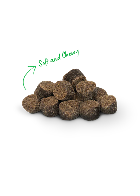 Close-up of Open Farm Be Good Bites highlighting their soft chewy texture and size. Perfect soft and chewy dog treat.