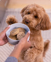 Fresh Open Farm chicken patties in a bowl, hydrated to serve a balanced, nutrient-rich meal that supports vitality.