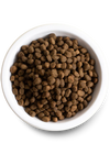 Close-up of Open Farm kibble in a bowl featuring its wholesome grain-free formula.
