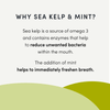 An image showcasing the benefits of sea kelp for oral hygiene and mint for naturally fresh breath.