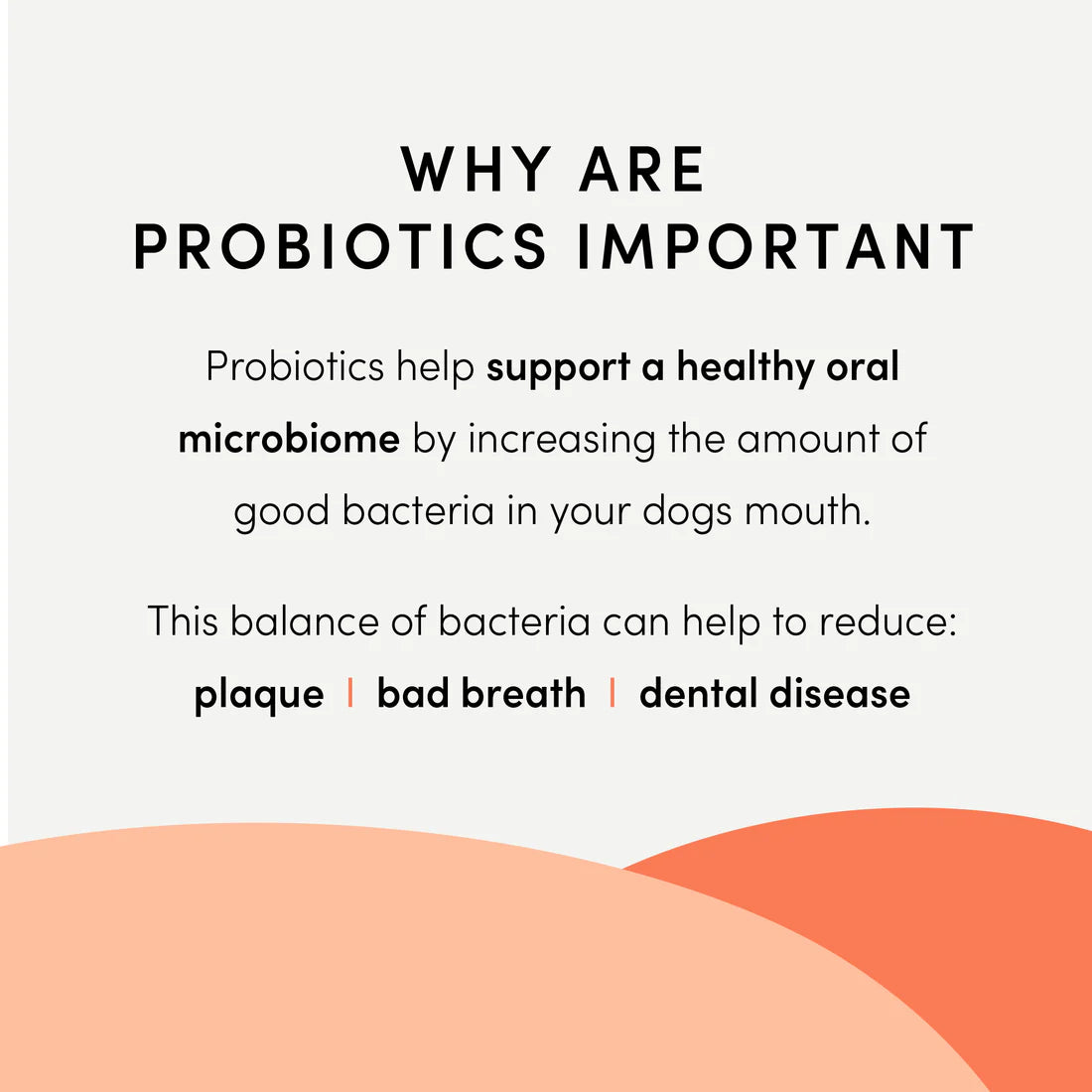 A graphic explaining how 1 billion CFU probiotics help support a balanced oral microbiome and promote digestive health.