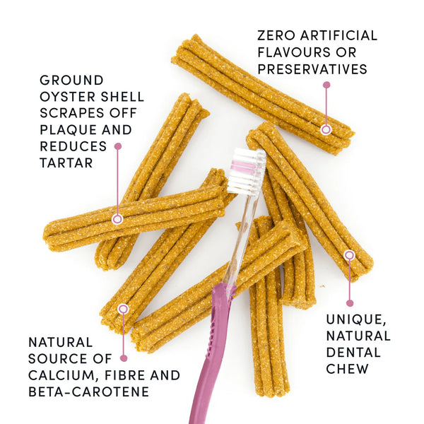 A zoomed-in image of the dental sticks, showcasing their new floral shape and flexible texture, designed for better tooth coverage and safer chewing.