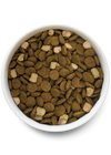 Close-up view of Open Farm Grain & Legume Free Large Breed dog food kibble, highlighting its quality and texture.