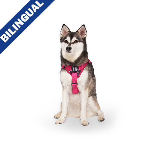 Canada Pooch - Complete Control Harness - Pink Plaid