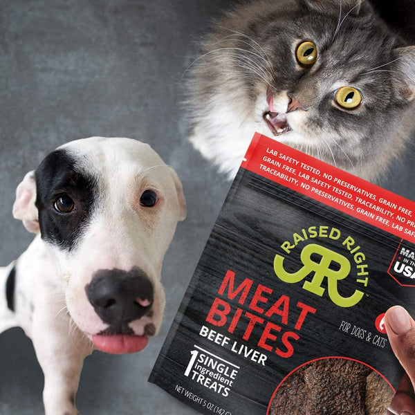 Raised Right Beef Liver Meat Bites with a dog and cat, showing excitement for these tasty treats.