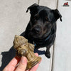 Dog enjoying the Red Barn Chew-a-Bull Hydrant chew, illustrating its appeal as a tasty treat while promoting dental health and gum care.