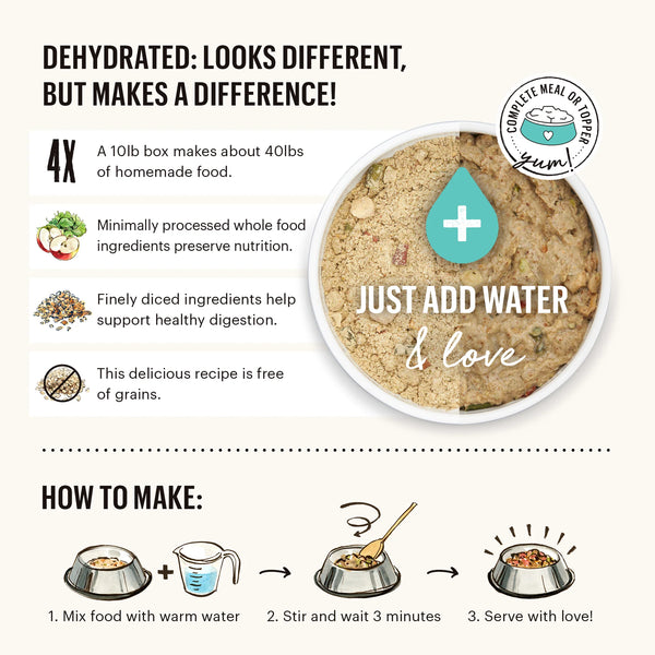 Step-by-step guide on how to prepare The Honest Kitchen Dehydrated Dog Food, including adding water, mixing, and serving instructions.