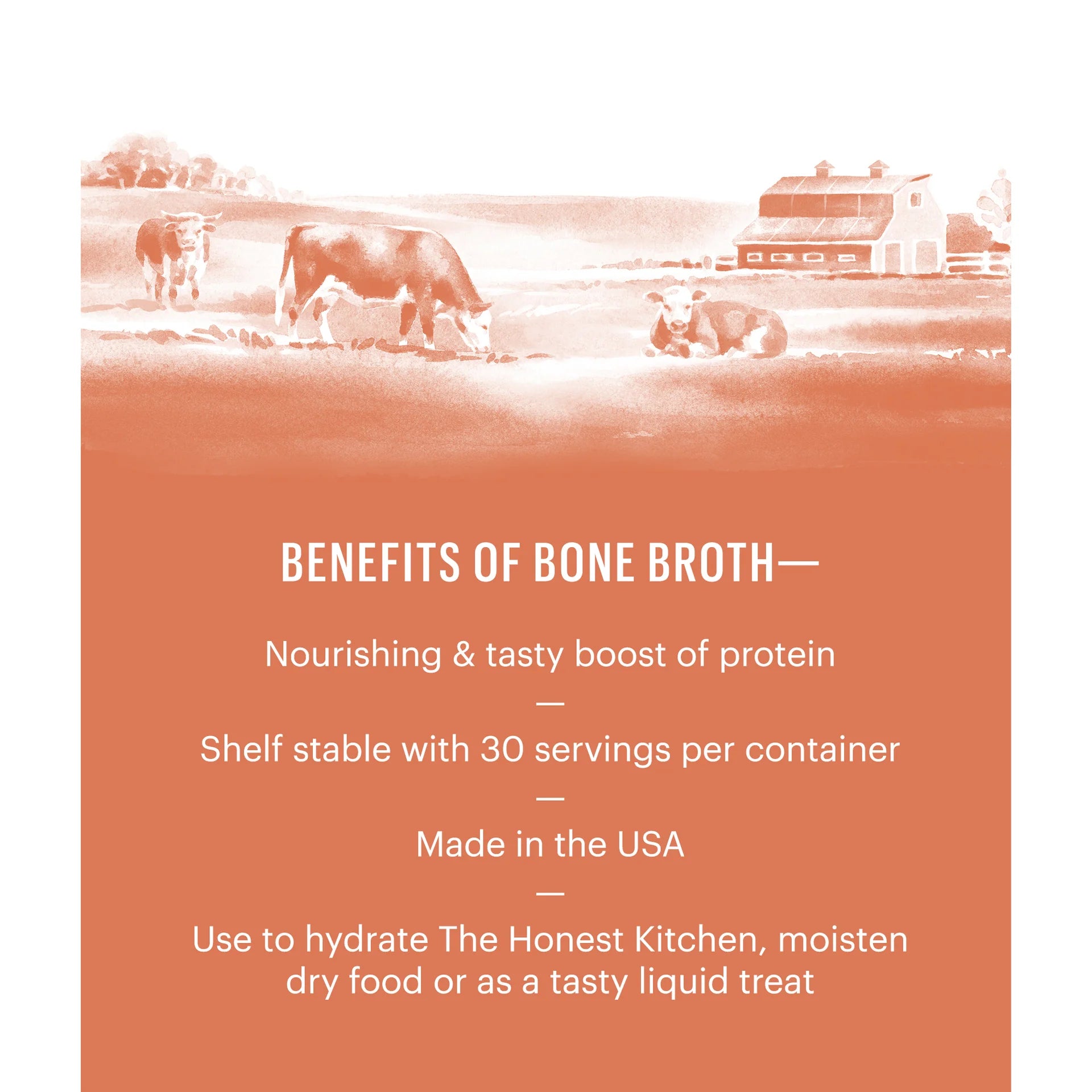 Image illustrating the health benefits of bone broth for dogs, including joint support and improved digestion.