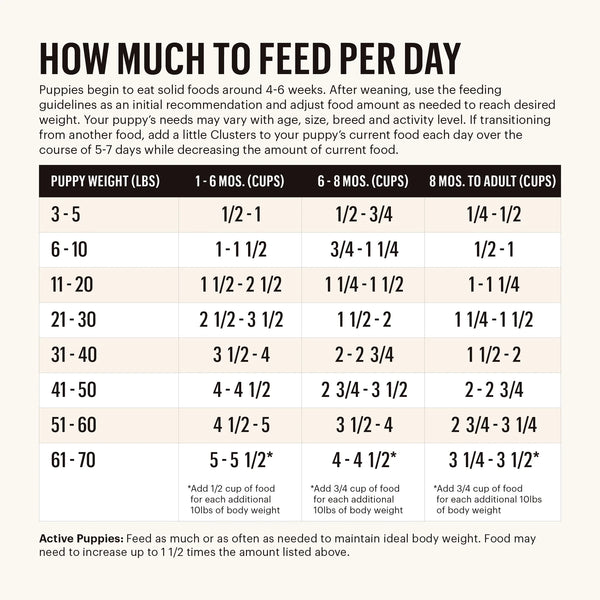 Feeding instructions for The Honest Kitchen Grain Free Chicken Clusters for Puppies, detailing portion sizes for puppies.