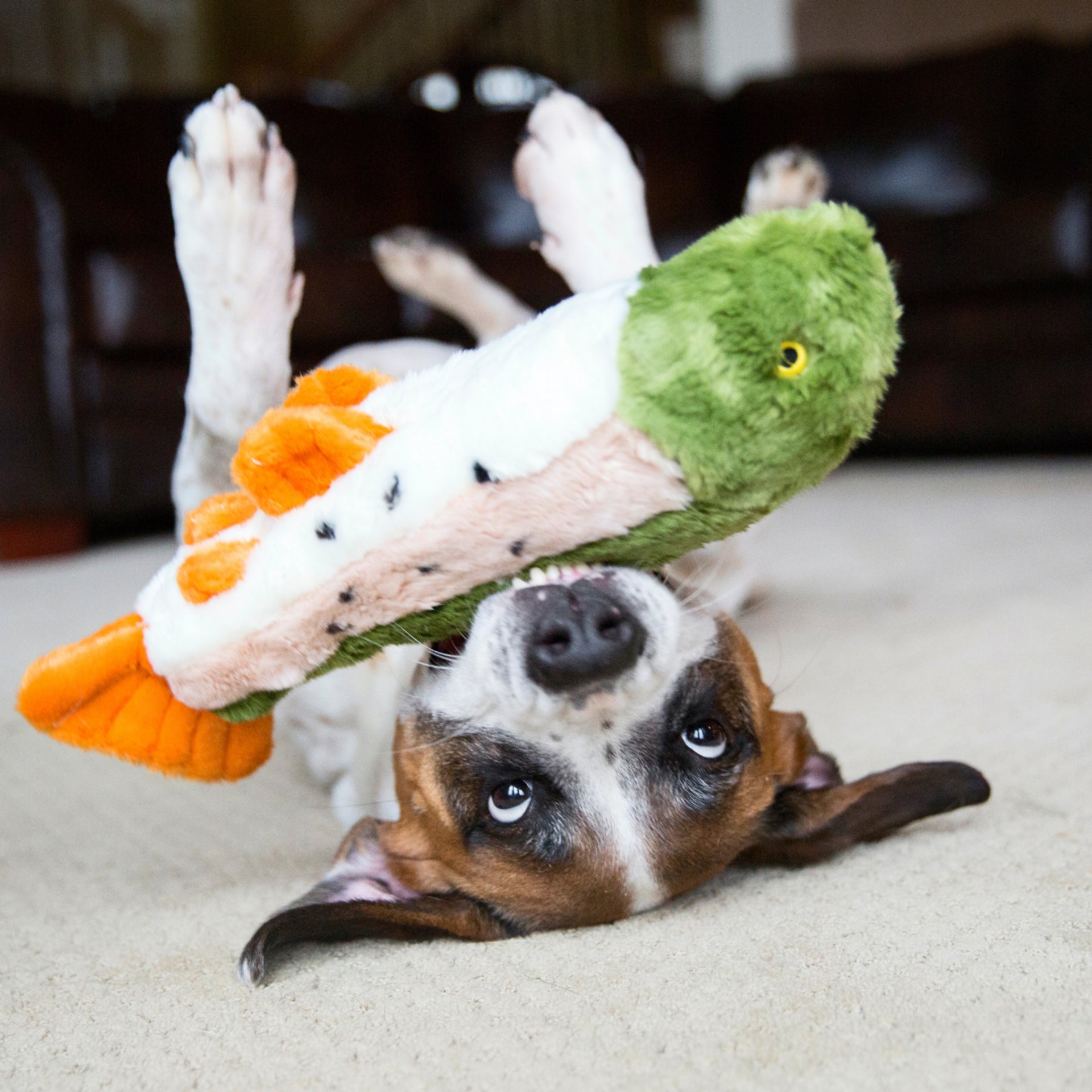 Fluff & Tuff - Ruby the Rainbow Trout