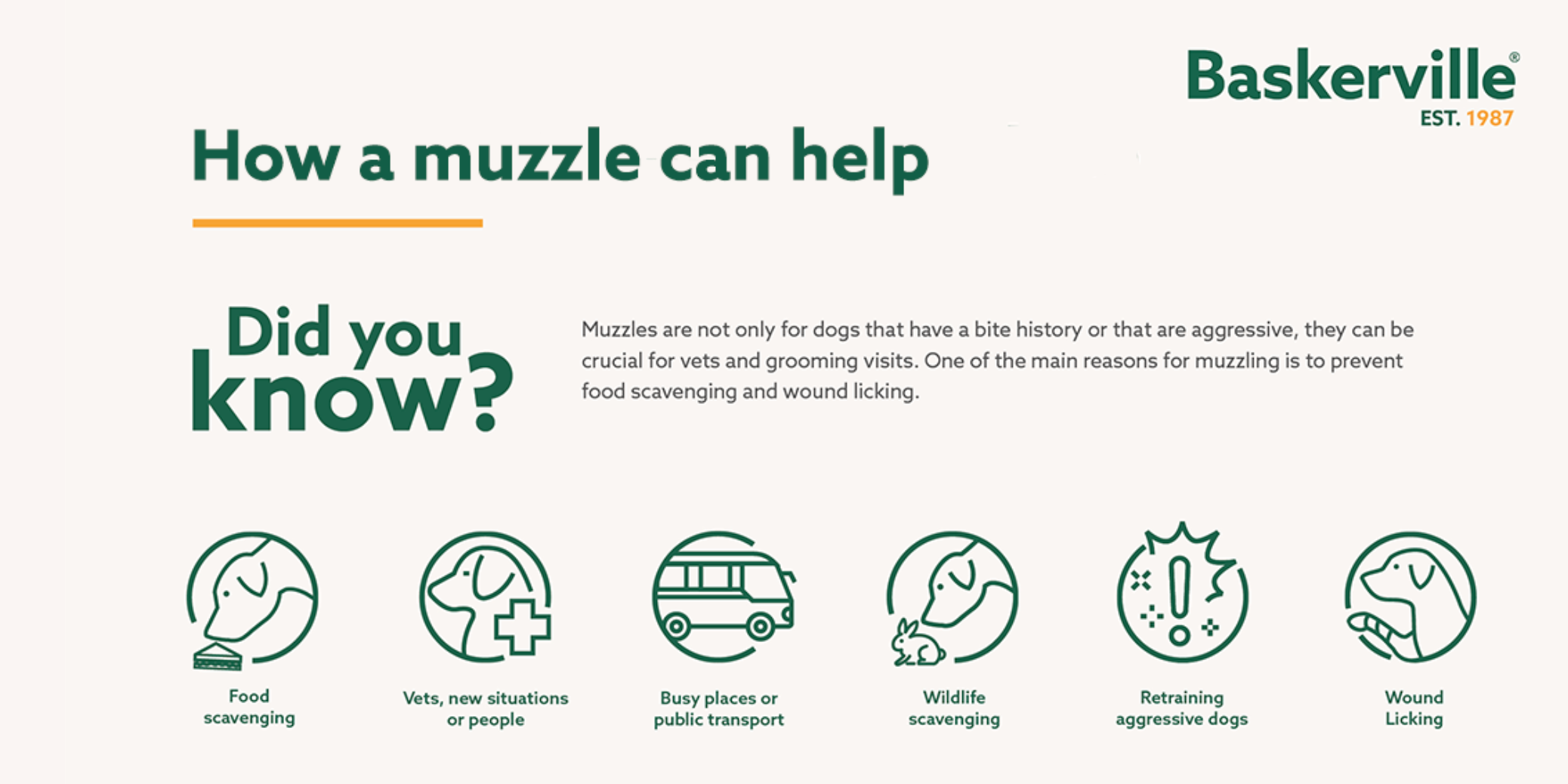 Baskerville Muzzle: Dogs wearing muzzles to prevent scavenging, aid in retraining, and ensure safety during vet visits.