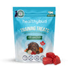 Front of the Bag: A clear image of Healthybud Beef Mini Training Treats packaging, highlighting the superfood ingredients like Lion’s Mane and Reishi for brain health.