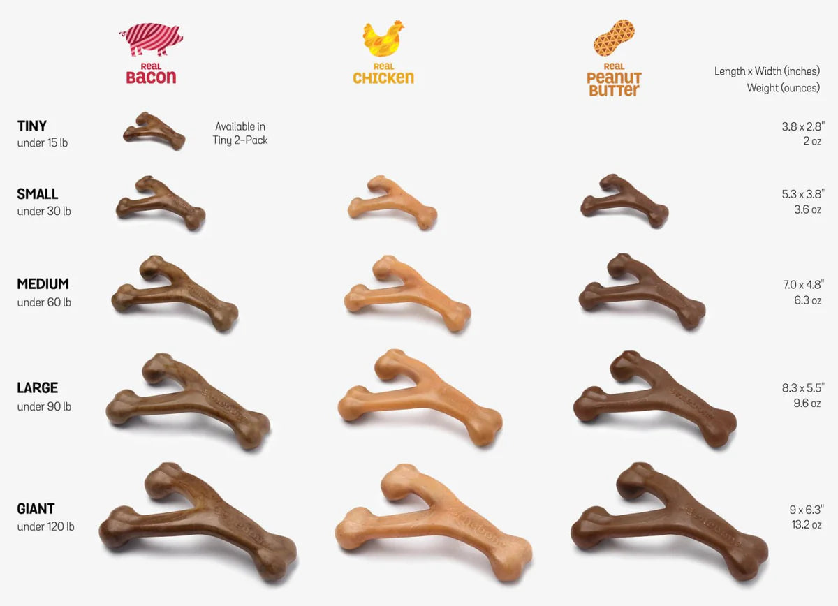 Benebone Wishbone in all available sizes and flavours: small, medium, large, and giant, with options in bacon, chicken, and peanut butter.