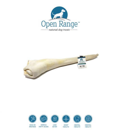 Open Range - Bull Tail