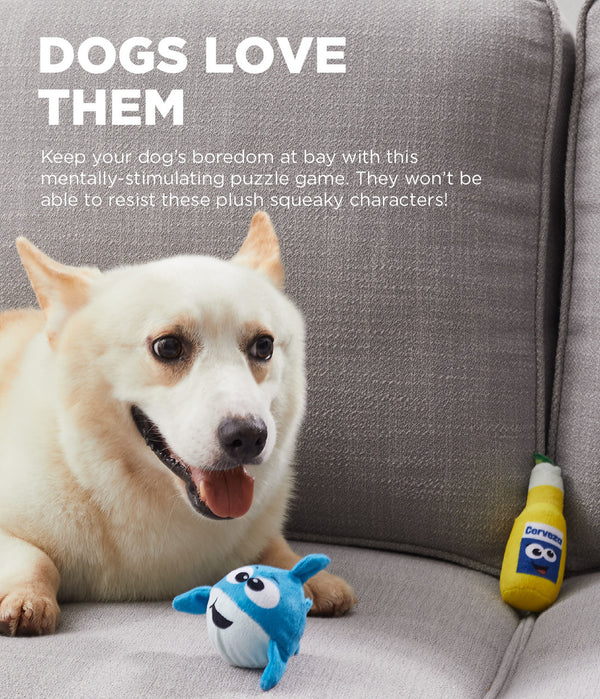 A playful dog enjoying the Hide A Surf Van toy on a couch, engaging in mental stimulation and fetch fun.