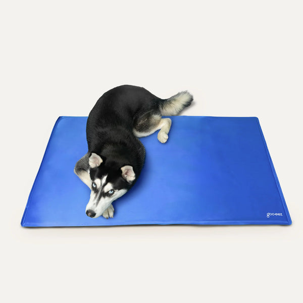 Image of a husky relaxing on the Goo-Eez Cooling Mat, showing how the self-cooling surface provides immediate comfort and prevents overheating on hot days.