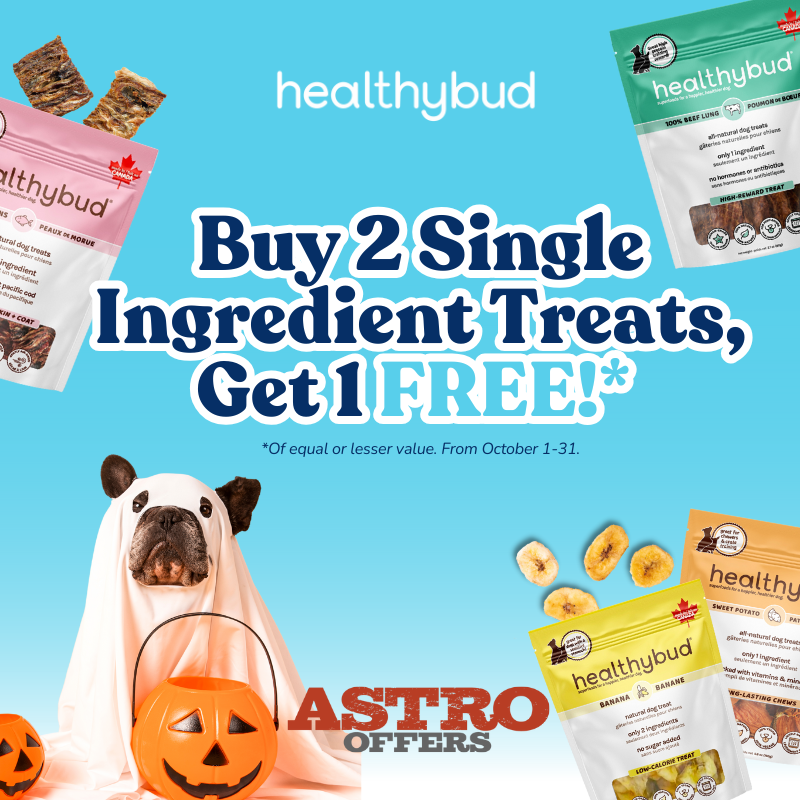 Healthybud Dog Treats - Beef Lung