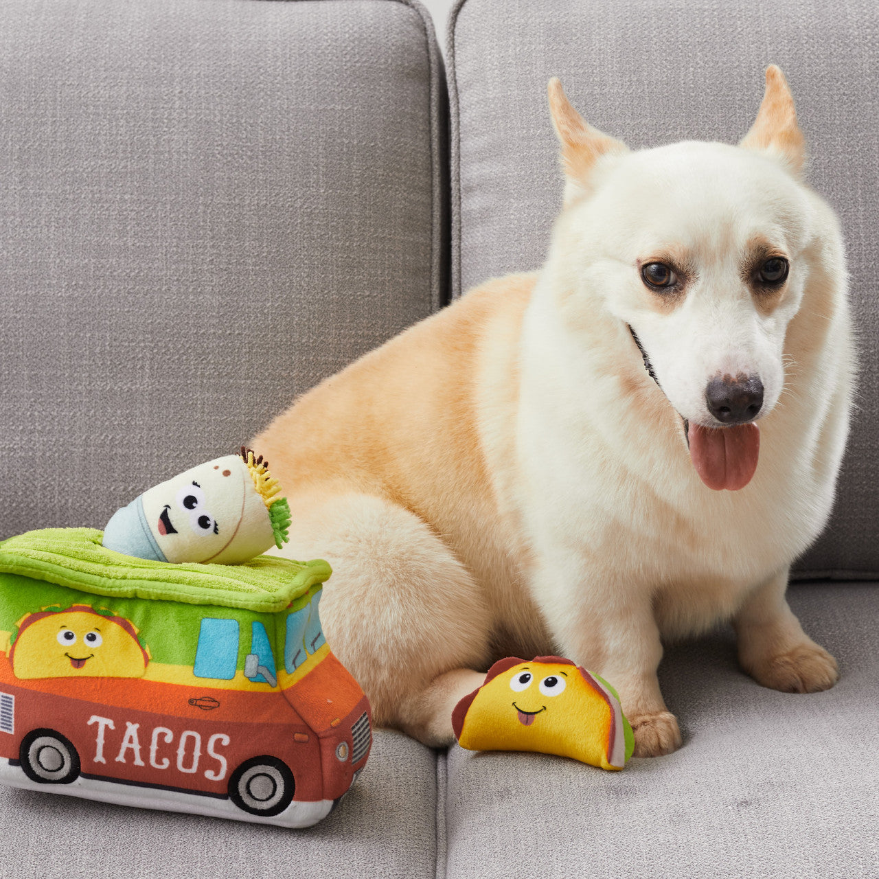 A dog surrounded by the squeaky taco, burrito, and tortilla chip plush toys, enjoying hours of engaging play.