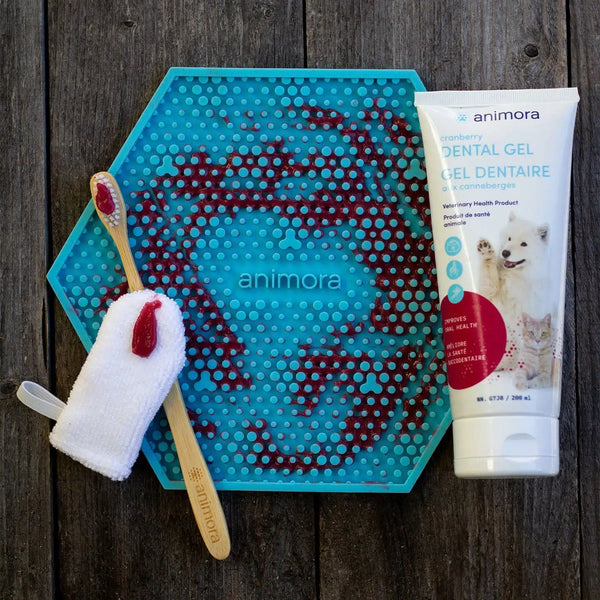 Animora's Cranberry Dental Gel: Illustration demonstrating the proper application of the gel for effective teeth and mouth cleaning in pets