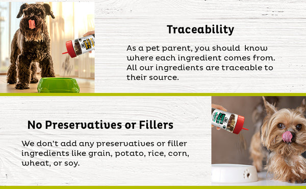 Raised Right - Shake - A - Flakes: Image highlighting the preservative-free and traceable nature of the product, offering transparency for pet parents.