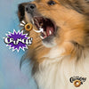 Dog crunching on Fromm Crunchy O's Smokin' CheesePlosions.