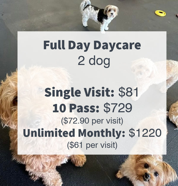 Full-day daycare prices for two dogs displayed, providing convenient options for pet owners with multiple companions