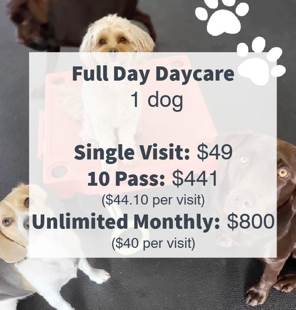 Full-day daycare prices shown, making it easy to see our rates for a full day of fun and care for your pup