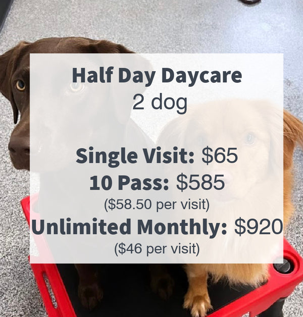 Half-day daycare prices for two dogs highlighted, offering value and flexibility for pet owners with multiple companions