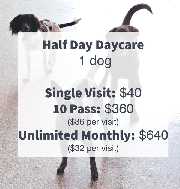 Half-day dog daycare prices displayed, illustrating our transparent and affordable pricing for your convenience and peace of mind.