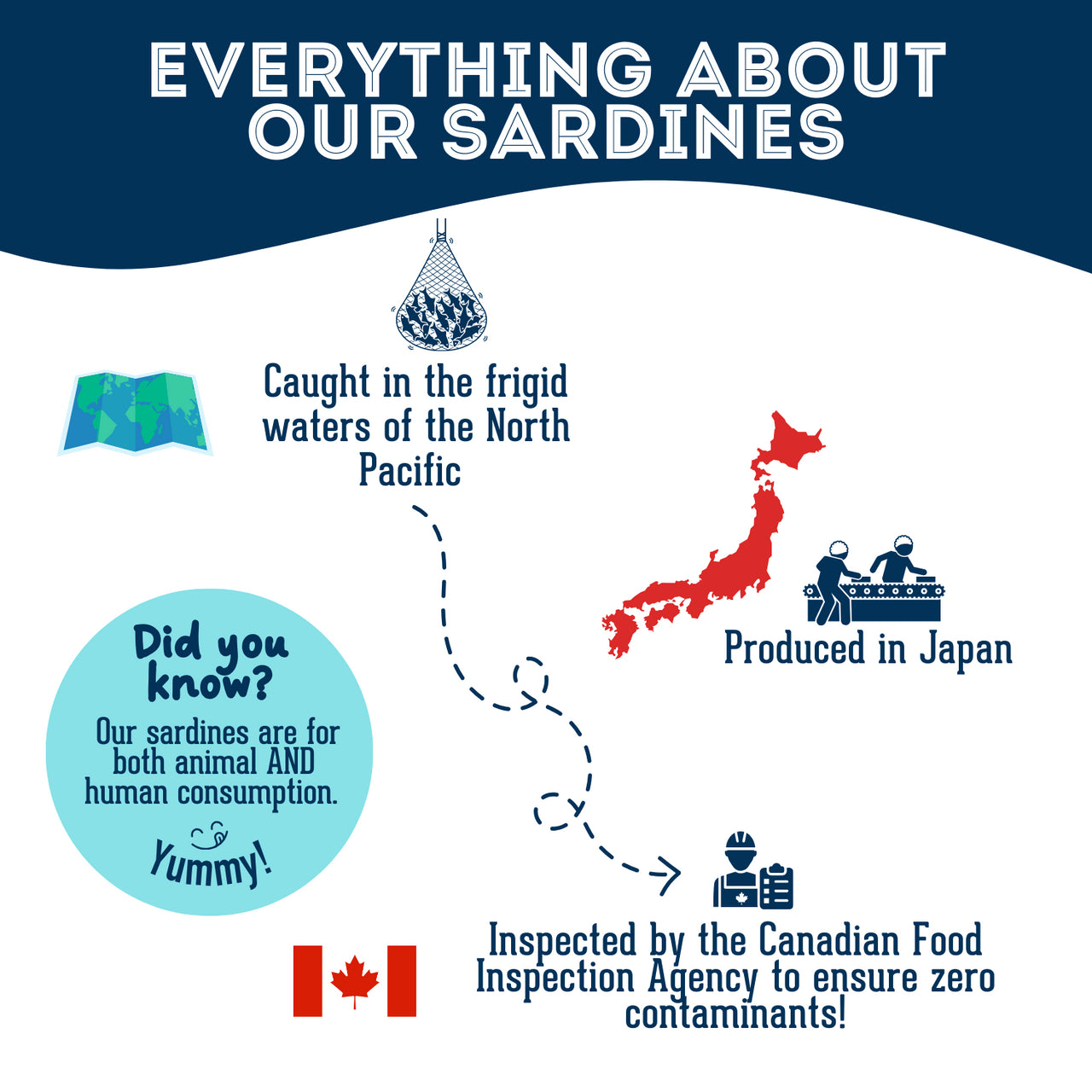 Single-ingredient treat - 100% dehydrated sardines, free from preservatives, salt, and additives. Caught in the north pacific and produced in Japan. Inspected by the Canadian Food Inspection Agency to ensure zero contaminants.
