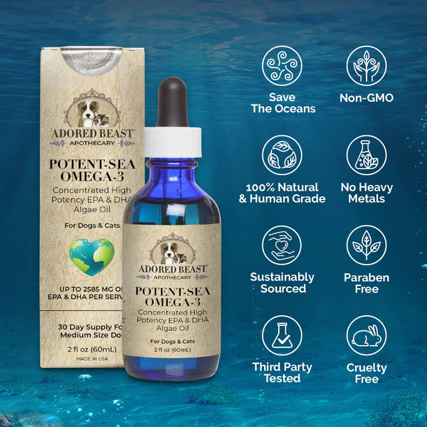 Adored Beast Potent Sea Omega 3: Illustration demonstrating the various uses for omega-3 supplementation in pets.
