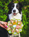 An image of a happy dog engaging with the Soda Pup Mandala Slow Feeder filled with kibble, showcasing how the feeder provides mental stimulation and makes mealtime more enriching and enjoyable.