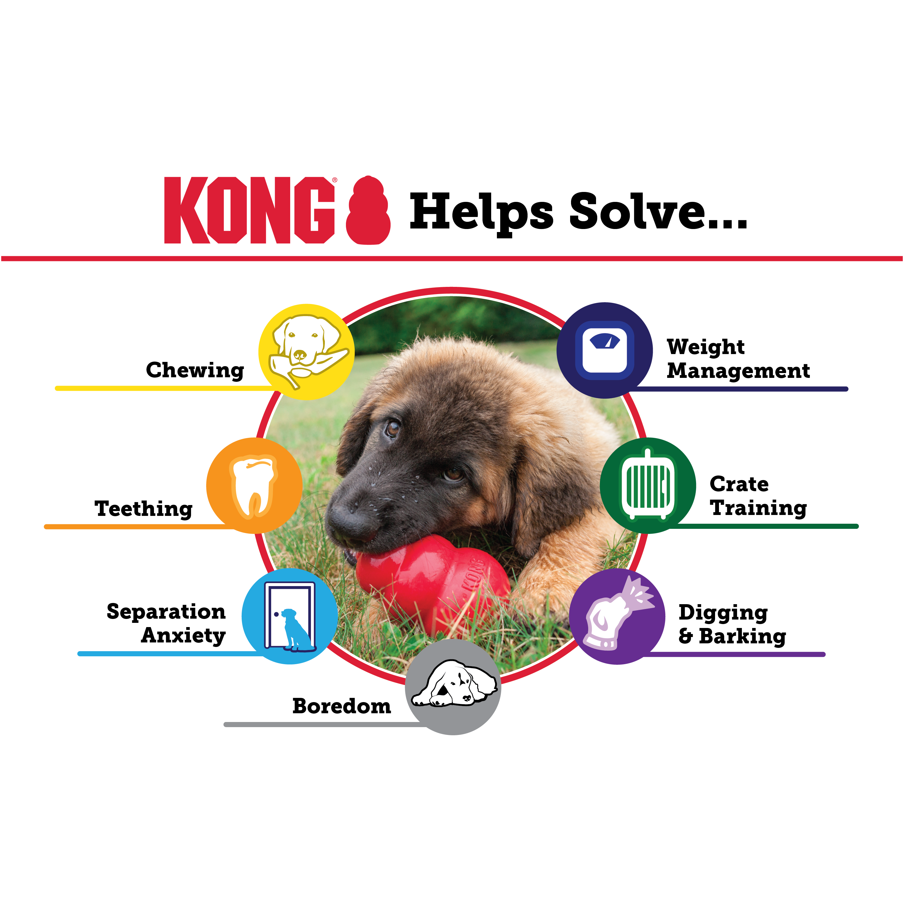 Image illustrating the benefits of the Kong Classic, such as reducing boredom, anxiety, and promoting healthy chewing.