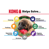 Image illustrating the benefits of the Kong Classic, such as reducing boredom, anxiety, and promoting healthy chewing.