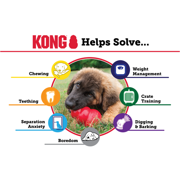 Image illustrating the benefits of the Kong Classic, such as reducing boredom, anxiety, and promoting healthy chewing.