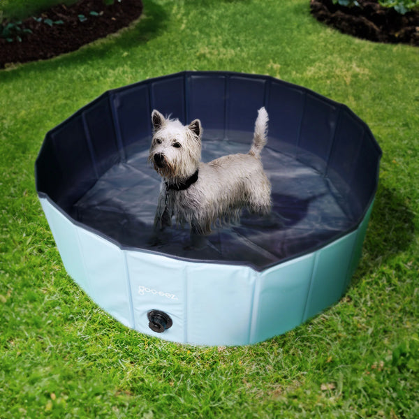 Image of the Goo-Eez pool placed on grass with a small white dog inside enjoying the water, showing how it keeps pets cool and playful outdoors during hot days.