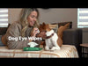 Video of Earth Rated Dog Eye Wipes gently cleaning a dog’s eyes, showcasing tear stain removal.