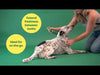 Video demonstrating the benefits of Earth Rated Dog Refresh Mist, including hydration, odour elimination, and coat detangling with a refreshing scent.