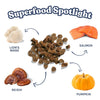 Close-up of Healthybud Salmon Mini Training Treats, showcasing small treats with ingredients like salmon, Lion’s Mane, and Reishi mushrooms.