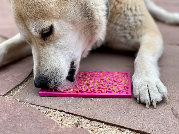 Soda Pup Lick Mat - Pink Flower Power