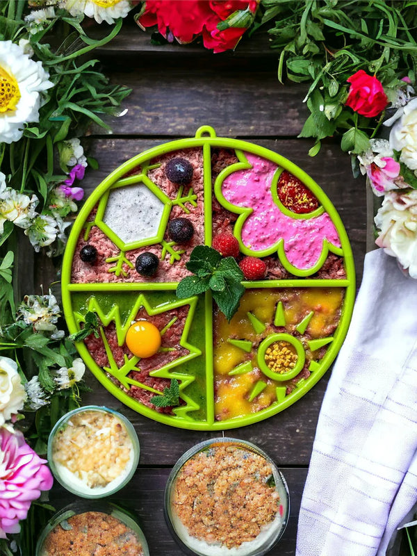 Image of the Soda Pup Four Seasons Enrichment Tray stuffed with various types of food, ready for your dog to enjoy.