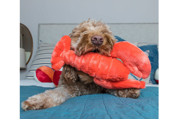 Fluff & Tuff - Manny the Lobster