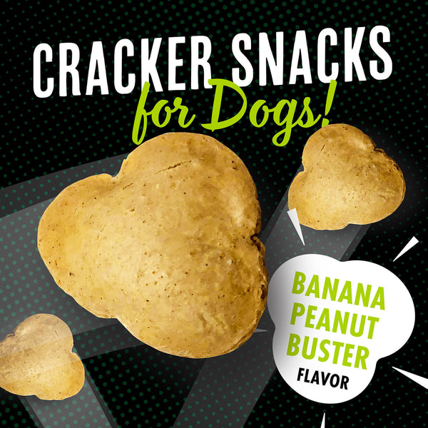 Close-up image of Fromm Pop'etts - Banana Peanut Buster Cracker Snacks, showing their crunchy texture