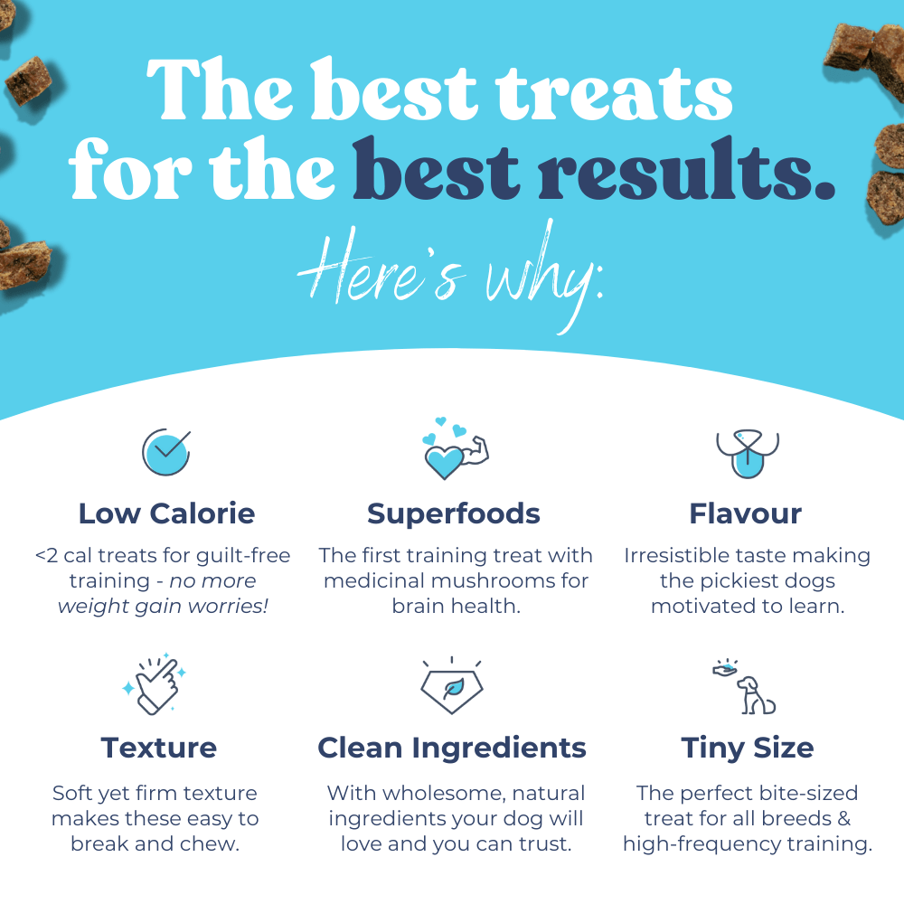 A visual infographic showing how these functional treats support brain health, immunity, and training success.