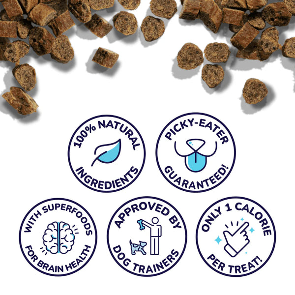 An image illustrating the key benefits, including cognitive support, low-calorie rewards, and natural ingredients.