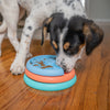 A small dog happily licking and solving the puzzle feeder, showing the fun and health benefits of slow feeding.