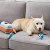 A happy pup surrounded by the Hide A Surf Van and plush squeaky toys, showing the fun and enrichment it provides.