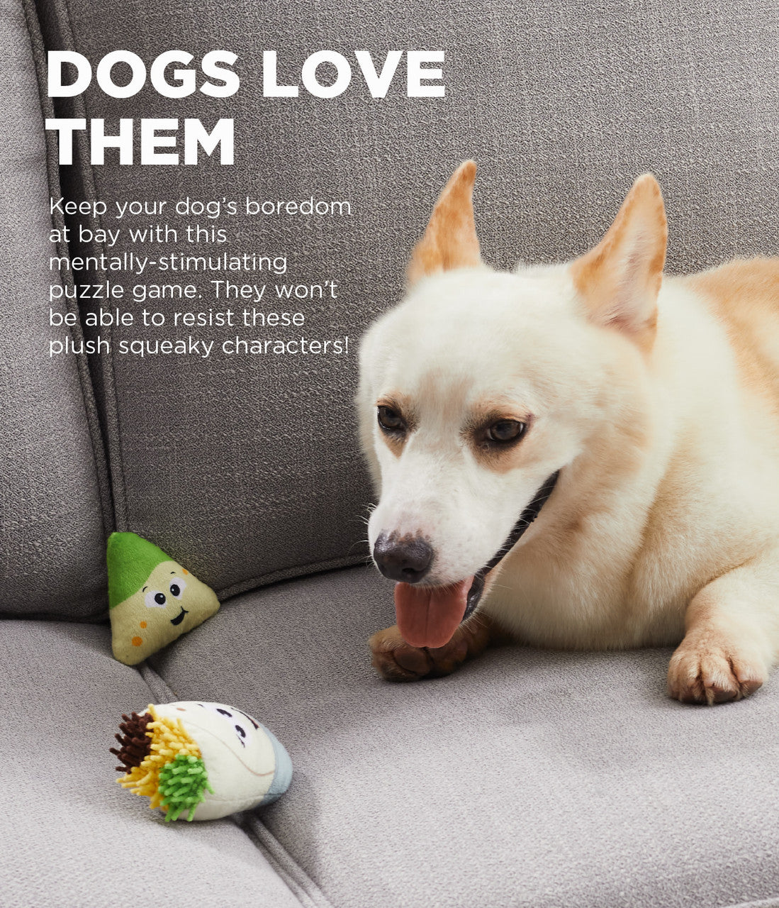 A happy dog playing with the soft, plush taco puzzle toys, showcasing their mental stimulation and play value.